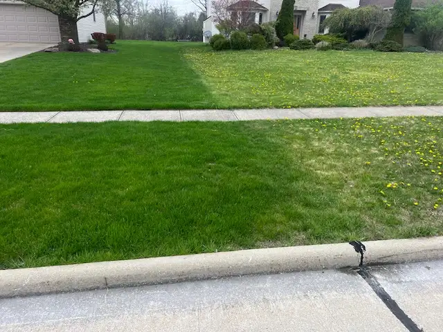 Before and after lawn treatment comparison by Field of Dreams Lawn Care