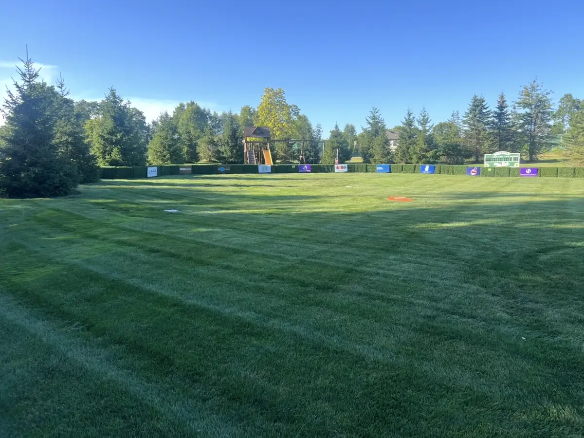 Professionally treated lawn with striping in Parma, Ohio by Field of Dreams Lawn Care