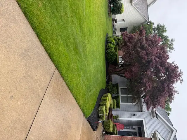 Well-maintained lawn and landscaping at an Ohio home receiving lime treatment