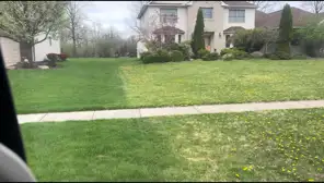 Well-maintained neighborhood lawn in North Olmsted, Ohio treated by Field of Dreams Lawn Care