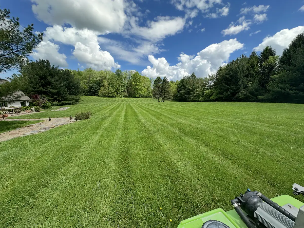 Healthy, striped lawn protected by preventative grub treatment from Field of Dreams Lawn Care